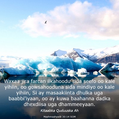 Picture 03 - Maahmaahyadii 30:14 SOM - Waxaa jira farcan ilkahoodu sida seefo oo kale - Bible Verse Picture