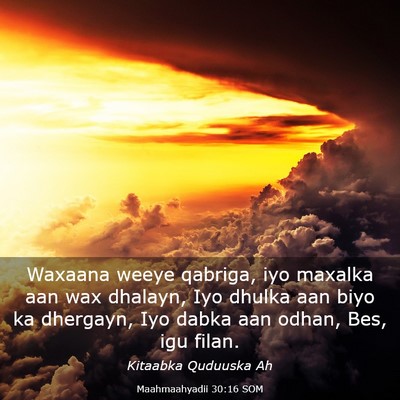 Picture 03 - Maahmaahyadii 30:16 SOM - Waxaana weeye qabriga, iyo maxalka aan wax - Bible Verse Picture
