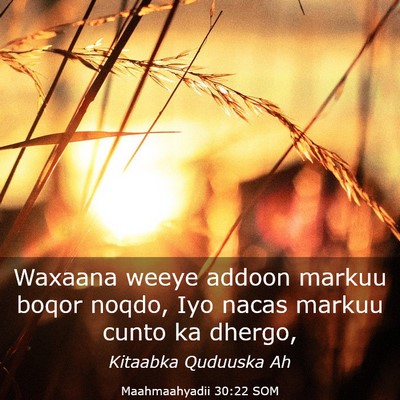 Picture 03 - Maahmaahyadii 30:22 SOM - Waxaana weeye addoon markuu boqor noqdo, Iyo - Bible Verse Picture