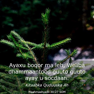 Picture 03 - Maahmaahyadii 30:27 SOM - Ayaxu boqor ma leh, Weliba dhammaantood guuto - Bible Verse Picture