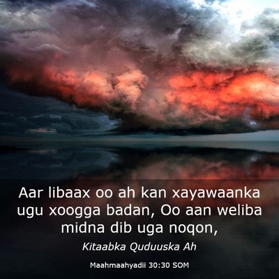 Picture 03 - Maahmaahyadii 30:30 SOM - Aar libaax oo ah kan xayawaanka ugu xoogga badan, - Bible Verse Picture