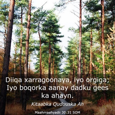 Picture 03 - Maahmaahyadii 30:31 SOM - Diiqa xarragoonaya, iyo orgiga; Iyo boqorka aanay - Bible Verse Picture