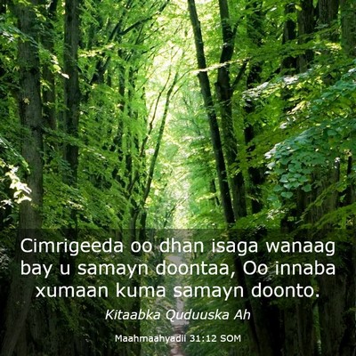 Picture 03 - Maahmaahyadii 31:12 SOM - Cimrigeeda oo dhan isaga wanaag bay u samayn - Bible Verse Picture