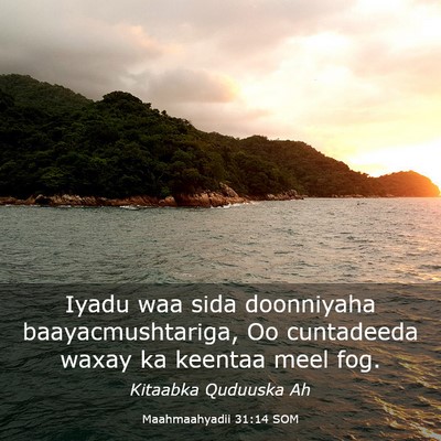 Picture 03 - Maahmaahyadii 31:14 SOM - Iyadu waa sida doonniyaha baayacmushtariga, Oo - Bible Verse Picture