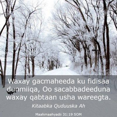 Picture 03 - Maahmaahyadii 31:19 SOM - Waxay gacmaheeda ku fidisaa dunmiiqa, Oo - Bible Verse Picture