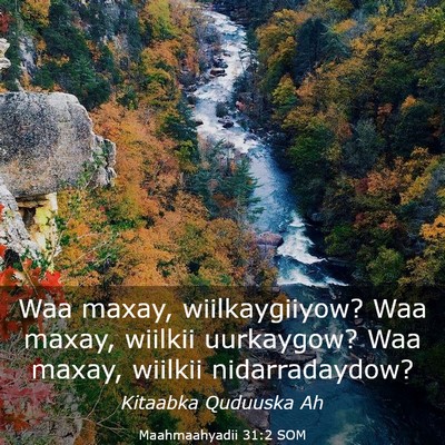 Picture 03 - Maahmaahyadii 31:2 SOM - Waa maxay, wiilkaygiiyow? Waa maxay, wiilkii - Bible Verse Picture