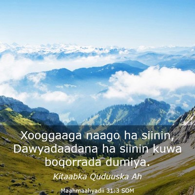Picture 03 - Maahmaahyadii 31:3 SOM - Xooggaaga naago ha siinin, Dawyadaadana ha siinin - Bible Verse Picture