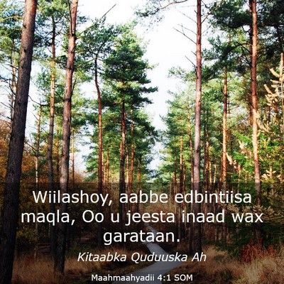 Picture 03 - Maahmaahyadii 4:1 SOM - Wiilashoy, aabbe edbintiisa maqla, Oo u jeesta - Bible Verse Picture
