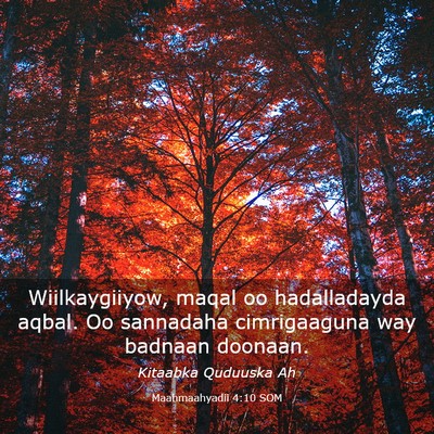 Picture 03 - Maahmaahyadii 4:10 SOM - Wiilkaygiiyow, maqal oo hadalladayda aqbal. Oo - Bible Verse Picture