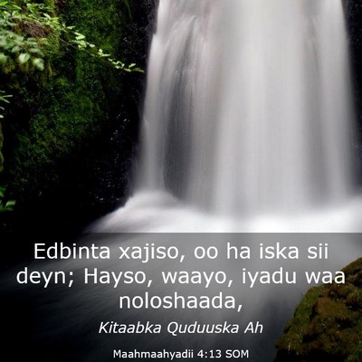 Picture 03 - Maahmaahyadii 4:13 SOM - Edbinta xajiso, oo ha iska sii deyn; Hayso, - Bible Verse Picture