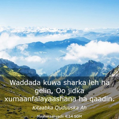 Picture 03 - Maahmaahyadii 4:14 SOM - Waddada kuwa sharka leh ha gelin, Oo jidka - Bible Verse Picture
