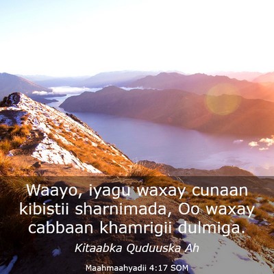 Picture 03 - Maahmaahyadii 4:17 SOM - Waayo, iyagu waxay cunaan kibistii sharnimada, Oo - Bible Verse Picture