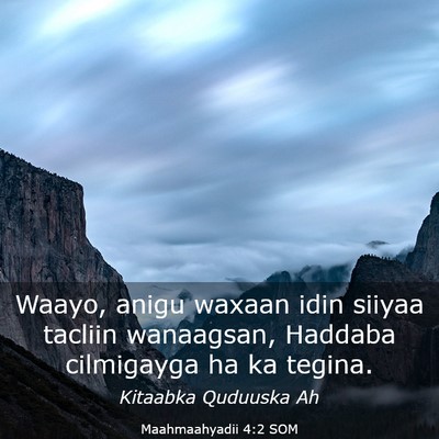 Picture 03 - Maahmaahyadii 4:2 SOM - Waayo, anigu waxaan idin siiyaa tacliin - Bible Verse Picture