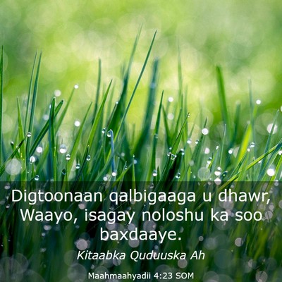 Picture 03 - Maahmaahyadii 4:23 SOM - Digtoonaan qalbigaaga u dhawr, Waayo, isagay - Bible Verse Picture