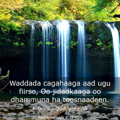 Picture 03 - Maahmaahyadii 4:26 SOM - Waddada cagahaaga aad ugu fiirso, Oo jidadkaaga - Bible Verse Picture