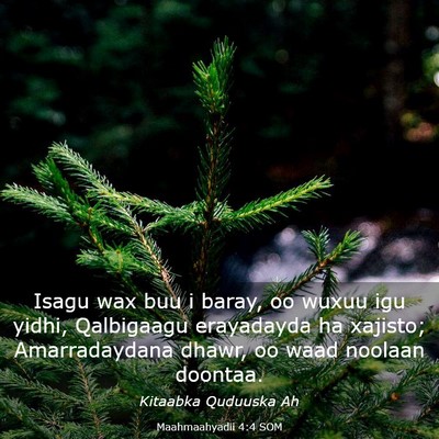 Picture 03 - Maahmaahyadii 4:4 SOM - Isagu wax buu i baray, oo wuxuu igu yidhi, - Bible Verse Picture