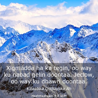 Picture 03 - Maahmaahyadii 4:6 SOM - Xigmadda ha ka tegin, oo way ku nabad gelin - Bible Verse Picture