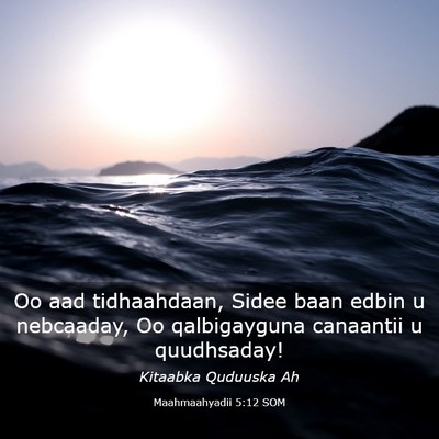 Picture 03 - Maahmaahyadii 5:12 SOM - Oo aad tidhaahdaan, Sidee baan edbin u nebcaaday, - Bible Verse Picture