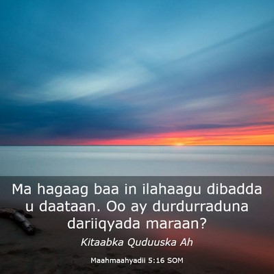 Picture 03 - Maahmaahyadii 5:16 SOM - Ma hagaag baa in ilahaagu dibadda u daataan. Oo - Bible Verse Picture