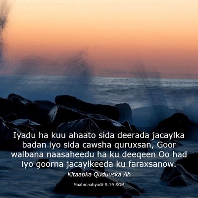 Picture 03 - Maahmaahyadii 5:19 SOM - Iyadu ha kuu ahaato sida deerada jacaylka badan - Bible Verse Picture