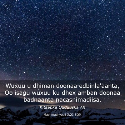 Picture 03 - Maahmaahyadii 5:23 SOM - Wuxuu u dhiman doonaa edbinla'aanta, Oo isagu - Bible Verse Picture