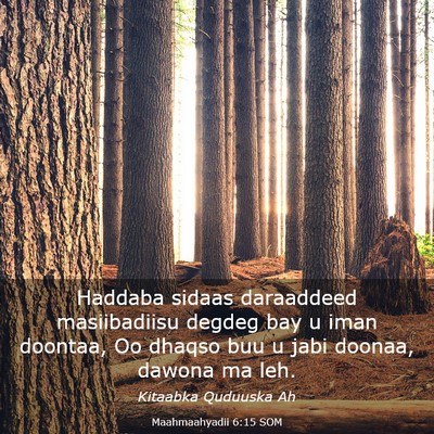 Picture 03 - Maahmaahyadii 6:15 SOM - Haddaba sidaas daraaddeed masiibadiisu degdeg bay - Bible Verse Picture