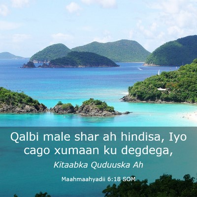 Picture 03 - Maahmaahyadii 6:18 SOM - Qalbi male shar ah hindisa, Iyo cago xumaan ku - Bible Verse Picture