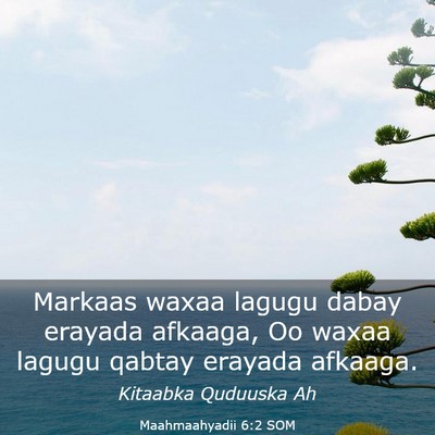 Picture 03 - Maahmaahyadii 6:2 SOM - Markaas waxaa lagugu dabay erayada afkaaga, Oo - Bible Verse Picture