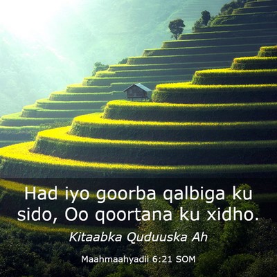 Picture 03 - Maahmaahyadii 6:21 SOM - Had iyo goorba qalbiga ku sido, Oo qoortana ku - Bible Verse Picture
