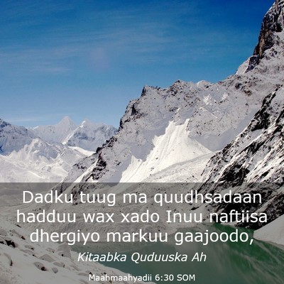 Picture 03 - Maahmaahyadii 6:30 SOM - Dadku tuug ma quudhsadaan hadduu wax xado Inuu - Bible Verse Picture