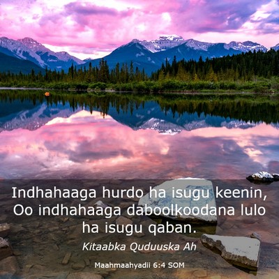 Picture 03 - Maahmaahyadii 6:4 SOM - Indhahaaga hurdo ha isugu keenin, Oo indhahaaga - Bible Verse Picture