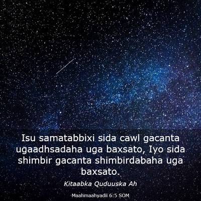 Picture 03 - Maahmaahyadii 6:5 SOM - Isu samatabbixi sida cawl gacanta ugaadhsadaha - Bible Verse Picture