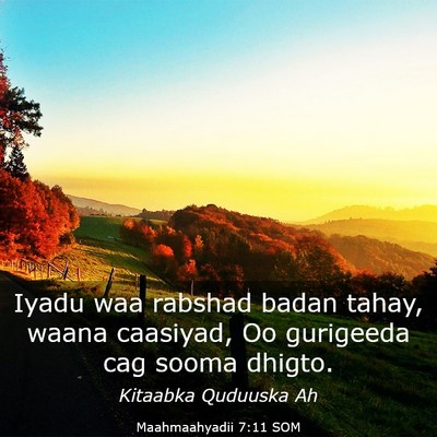 Picture 03 - Maahmaahyadii 7:11 SOM - Iyadu waa rabshad badan tahay, waana caasiyad, Oo - Bible Verse Picture