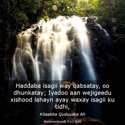Picture 03 - Maahmaahyadii 7:13 SOM - Haddaba isagii way qabsatay, oo dhunkatay; Iyadoo - Bible Verse Picture