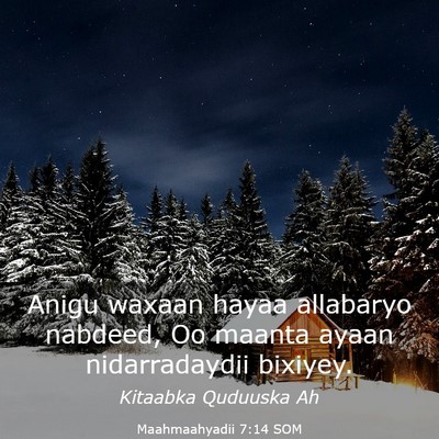 Picture 03 - Maahmaahyadii 7:14 SOM - Anigu waxaan hayaa allabaryo nabdeed, Oo maanta - Bible Verse Picture