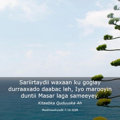 Picture 03 - Maahmaahyadii 7:16 SOM - Sariirtaydii waxaan ku goglay durraaxado daabac - Bible Verse Picture