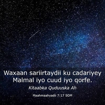 Picture 03 - Maahmaahyadii 7:17 SOM - Waxaan sariirtaydii ku cadariyey Malmal iyo cuud - Bible Verse Picture