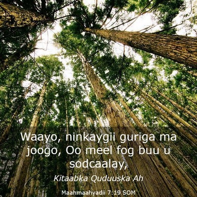 Picture 03 - Maahmaahyadii 7:19 SOM - Waayo, ninkaygii guriga ma joogo, Oo meel fog buu - Bible Verse Picture