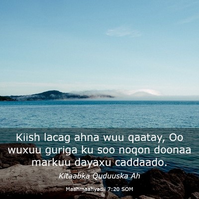 Picture 03 - Maahmaahyadii 7:20 SOM - Kiish lacag ahna wuu qaatay, Oo wuxuu guriga ku - Bible Verse Picture