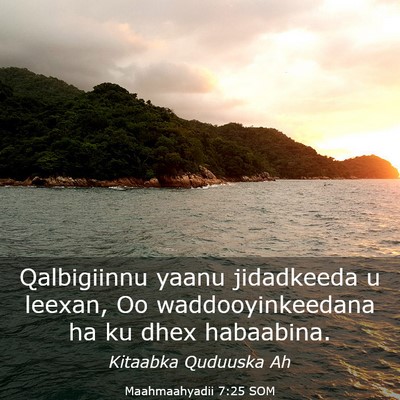 Picture 03 - Maahmaahyadii 7:25 SOM - Qalbigiinnu yaanu jidadkeeda u leexan, Oo - Bible Verse Picture