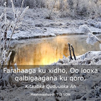 Picture 03 - Maahmaahyadii 7:3 SOM - Farahaaga ku xidho, Oo looxa qalbigaagana ku - Bible Verse Picture