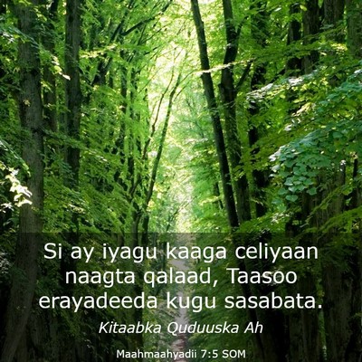 Picture 03 - Maahmaahyadii 7:5 SOM - Si ay iyagu kaaga celiyaan naagta qalaad, Taasoo - Bible Verse Picture