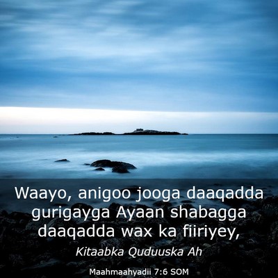 Picture 03 - Maahmaahyadii 7:6 SOM - Waayo, anigoo jooga daaqadda gurigayga Ayaan - Bible Verse Picture