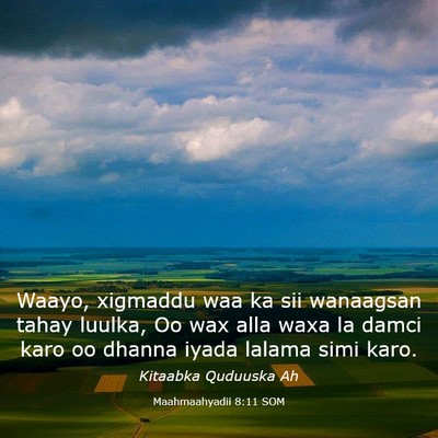 Picture 03 - Maahmaahyadii 8:11 SOM - Waayo, xigmaddu waa ka sii wanaagsan tahay - Bible Verse Picture