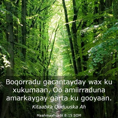 Picture 03 - Maahmaahyadii 8:15 SOM - Boqorradu gacantayday wax ku xukumaan, Oo - Bible Verse Picture