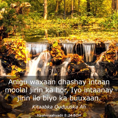 Picture 03 - Maahmaahyadii 8:24 SOM - Anigu waxaan dhashay intaan moolal jirin ka hor, - Bible Verse Picture