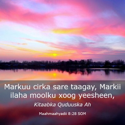 Picture 03 - Maahmaahyadii 8:28 SOM - Markuu cirka sare taagay, Markii ilaha moolku - Bible Verse Picture