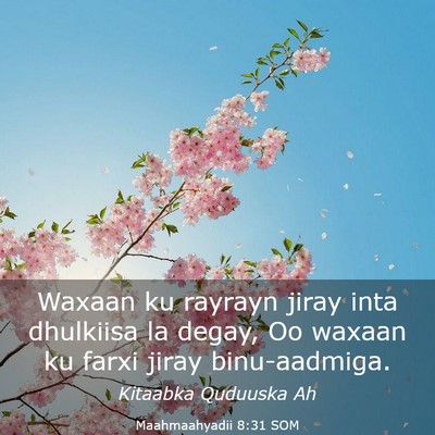 Picture 03 - Maahmaahyadii 8:31 SOM - Waxaan ku rayrayn jiray inta dhulkiisa la degay, - Bible Verse Picture