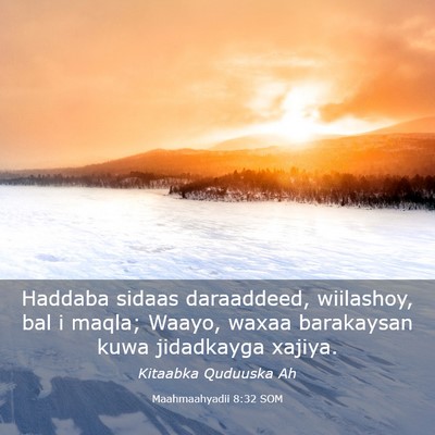 Picture 03 - Maahmaahyadii 8:32 SOM - Haddaba sidaas daraaddeed, wiilashoy, bal i - Bible Verse Picture