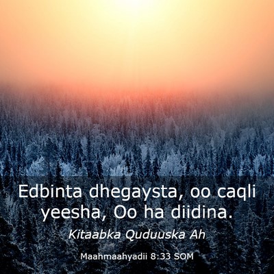 Picture 03 - Maahmaahyadii 8:33 SOM - Edbinta dhegaysta, oo caqli yeesha, Oo ha - Bible Verse Picture